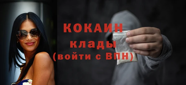гашик Арсеньев