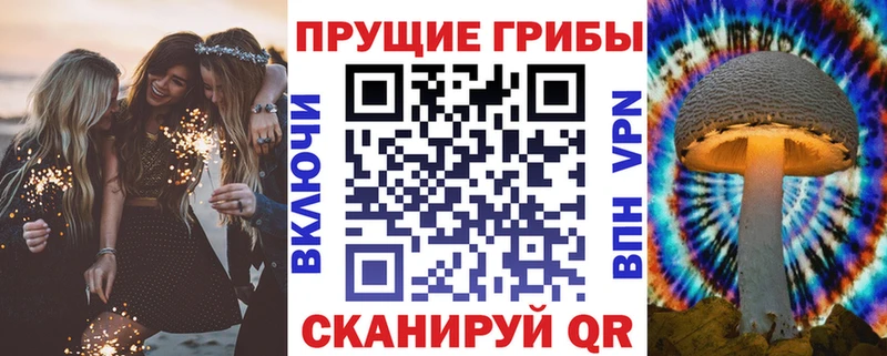 мега маркетплейс  магазин продажи наркотиков  Кочубеевское  Псилоцибиновые грибы Psilocybe 